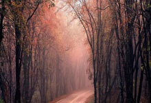 股票比较好的平台:实时股票配资平台-高盛“唱高”寒武纪目标价至2104元！这次市场为何没跟进